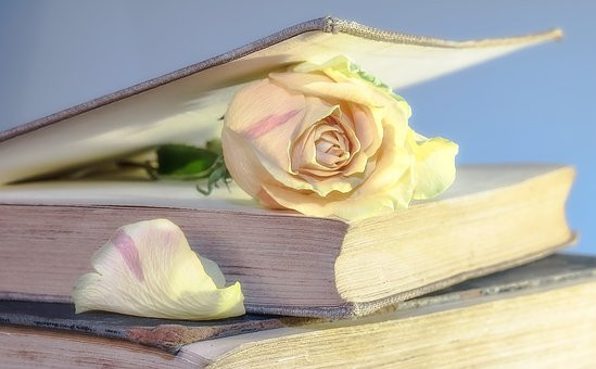 古い本にバラの花を挟んでいる