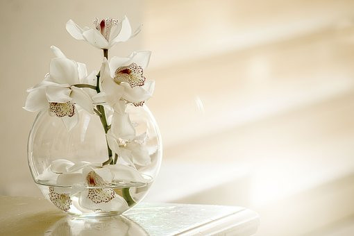 白い花がガラスの花瓶に飾られている
